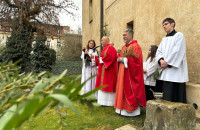 /album/fotogalerie-foto2/kvetna-nedele-2026-09-jpg/